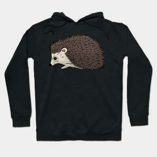 Cute hedgehog hand drawn walking to the left Hoodie